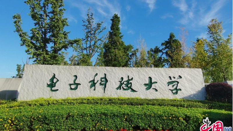 BMS代工与OEM厂家：揭秘两者之间的关键差异