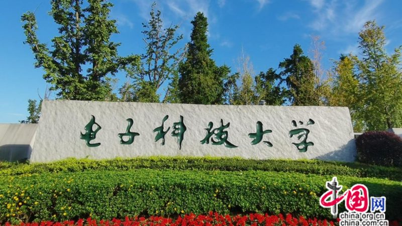 开发板报价单背后的考量：揭秘批发价格的关键因素**