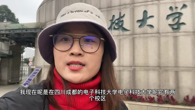 成都芯片研发公司排名：揭秘行业实力与趋势